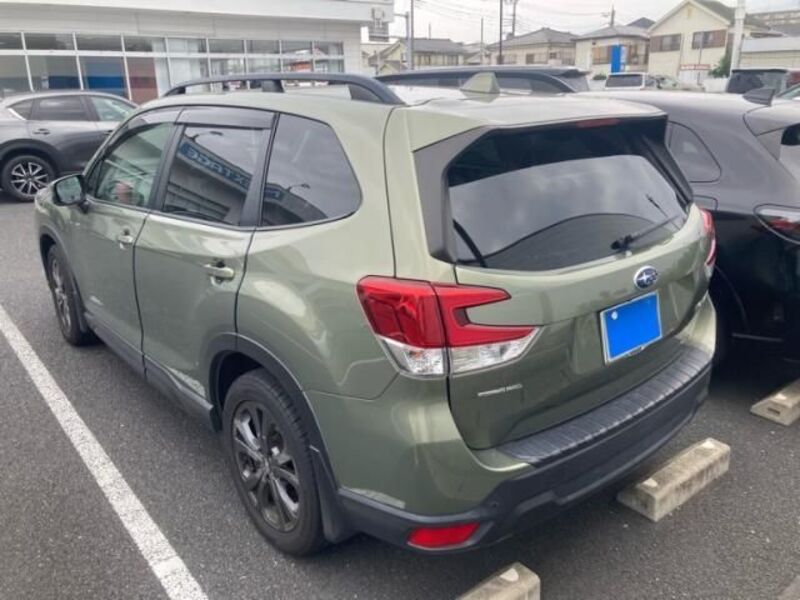 FORESTER
