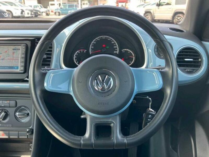 THE BEETLE