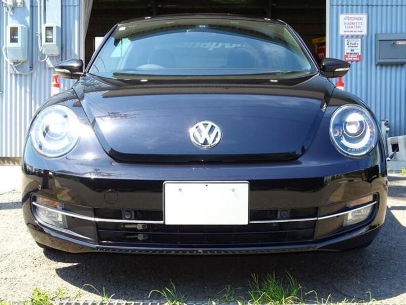 THE BEETLE