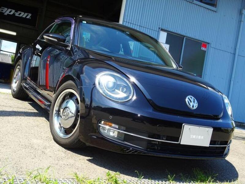 THE BEETLE
