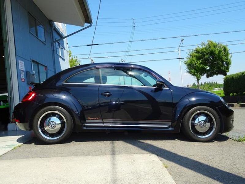 THE BEETLE