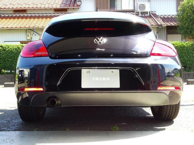 THE BEETLE