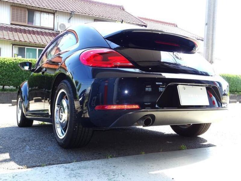 THE BEETLE