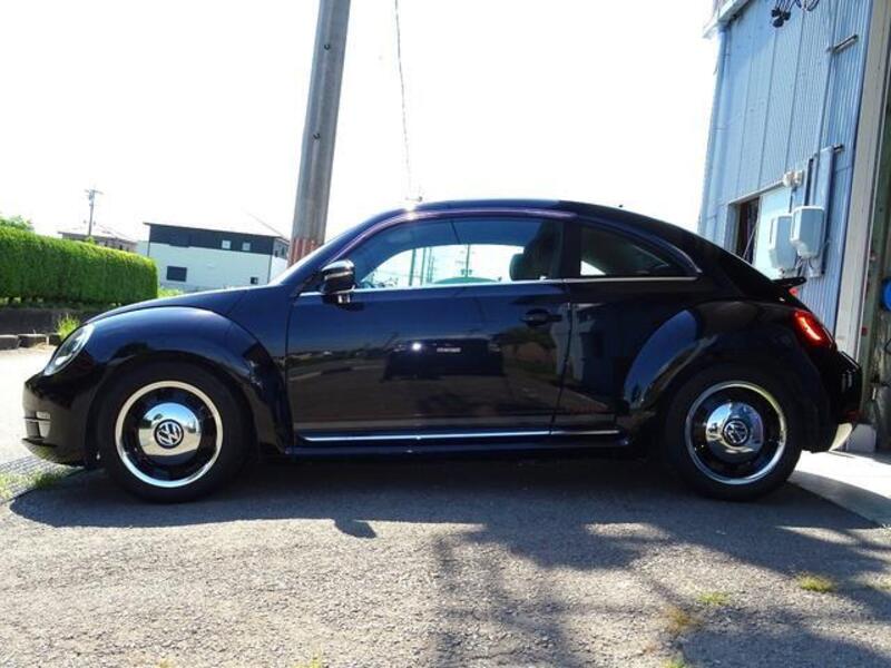 THE BEETLE