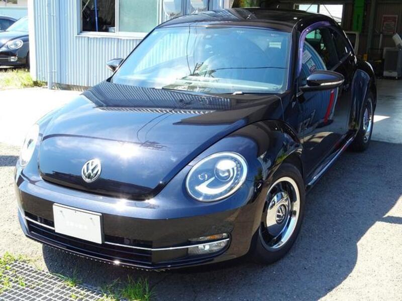 THE BEETLE