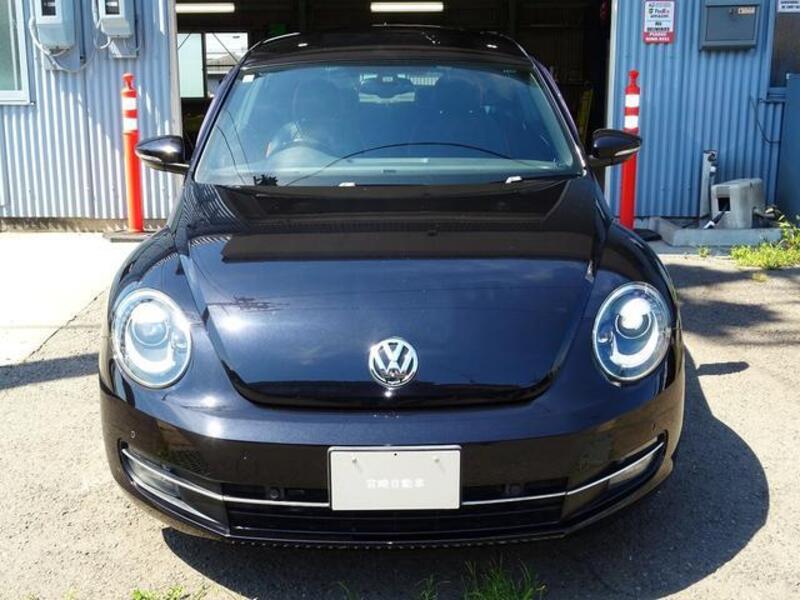 THE BEETLE