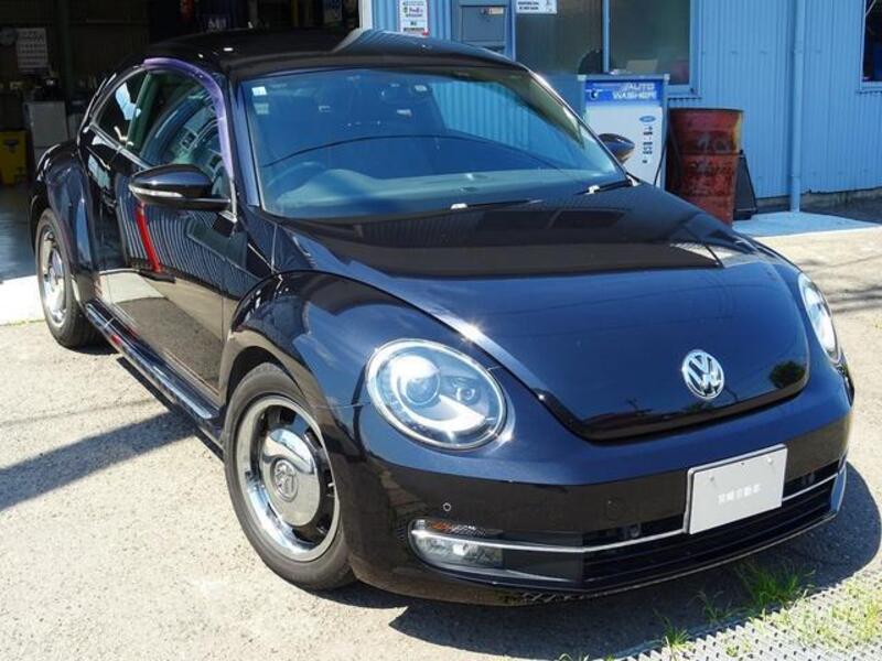 THE BEETLE