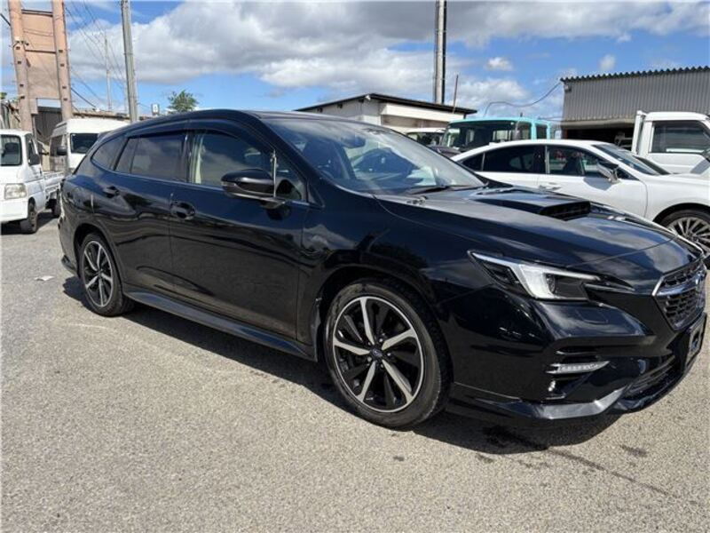 LEVORG