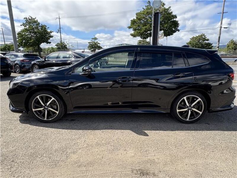 LEVORG