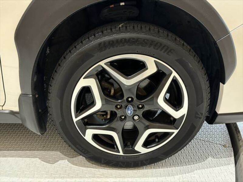 XV