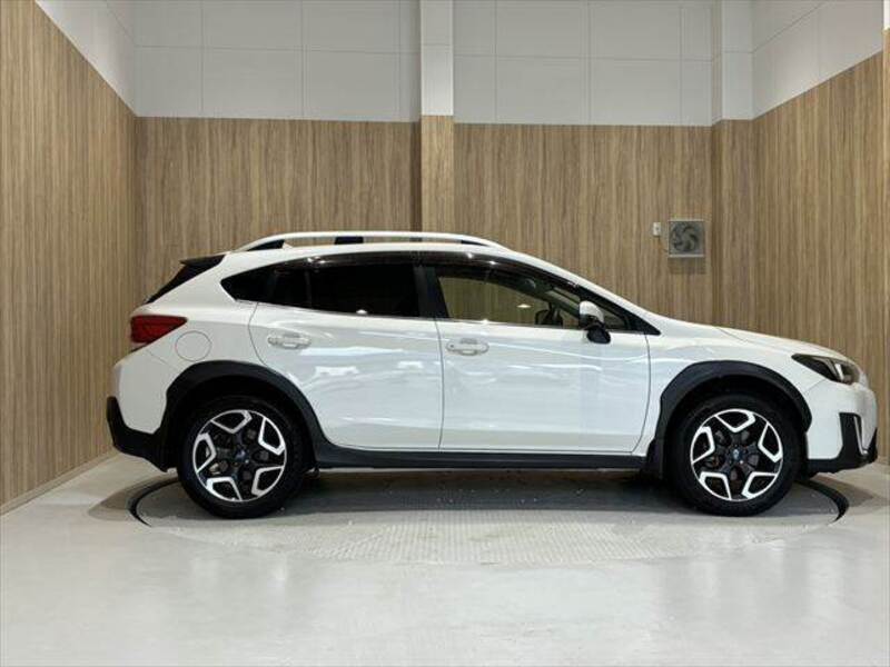 XV
