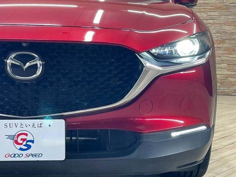 CX-30