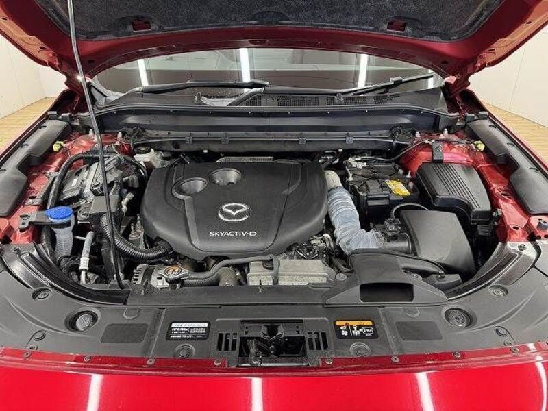 CX-8