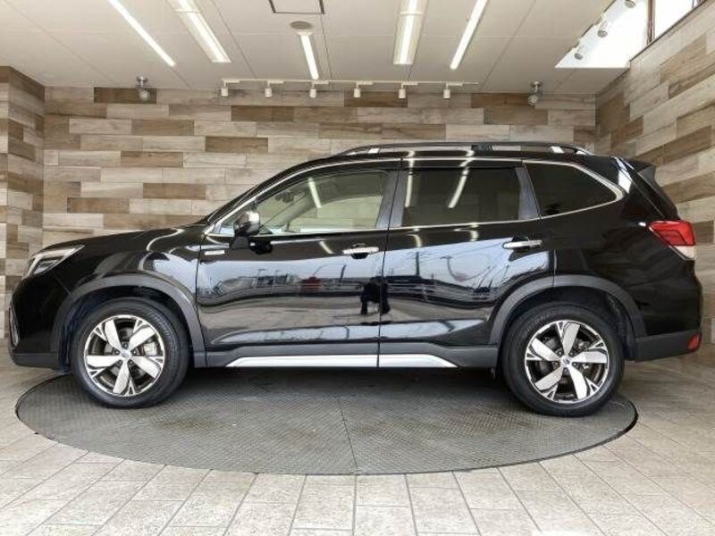FORESTER
