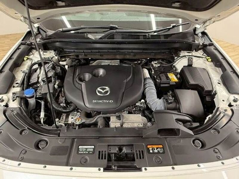 CX-8