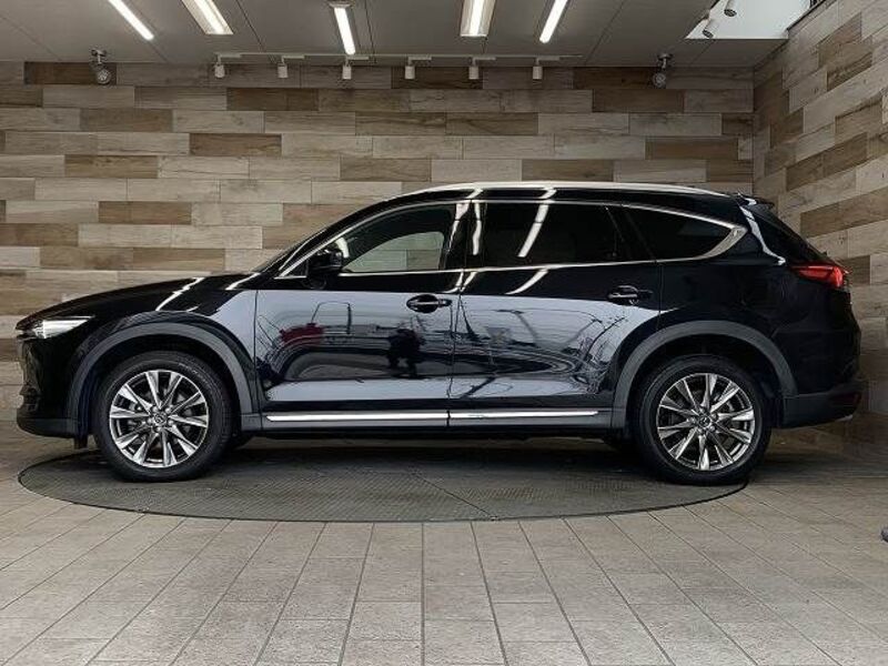 CX-8