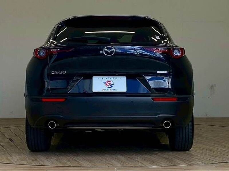 CX-30
