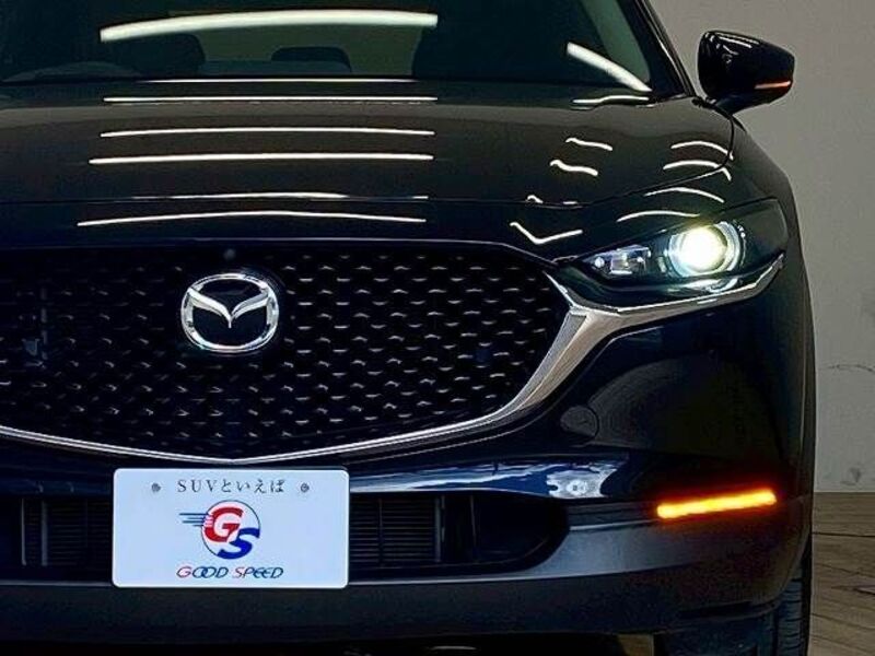 CX-30