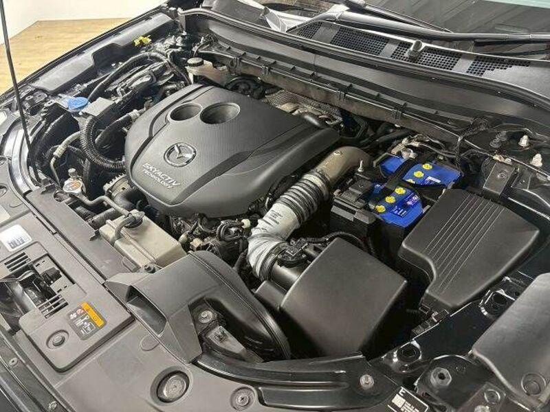 CX-8