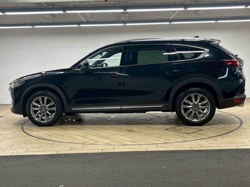 CX-8