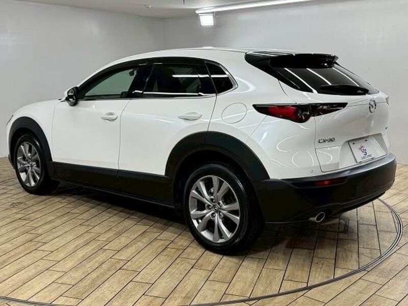 CX-30