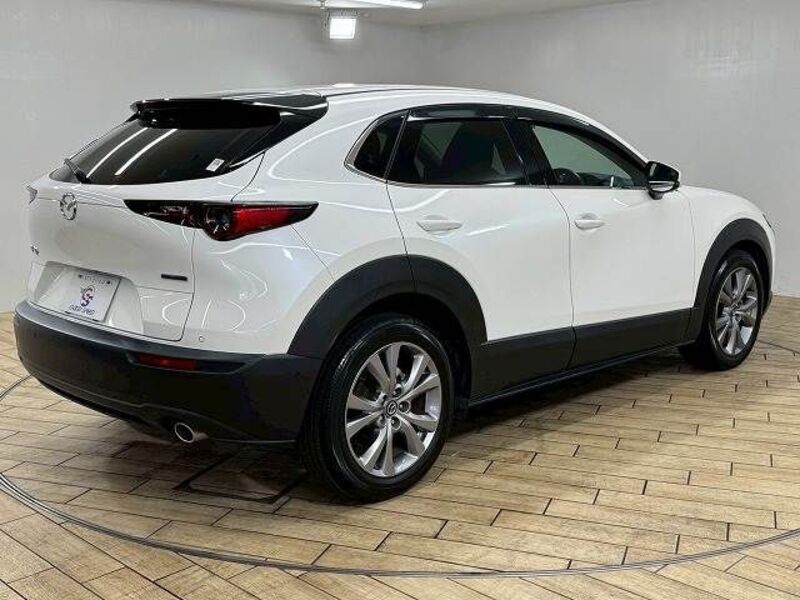 CX-30