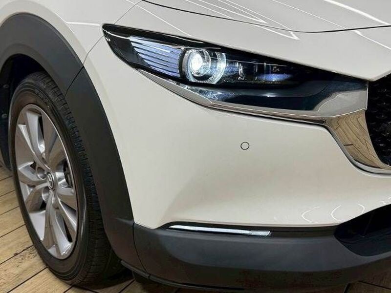 CX-30