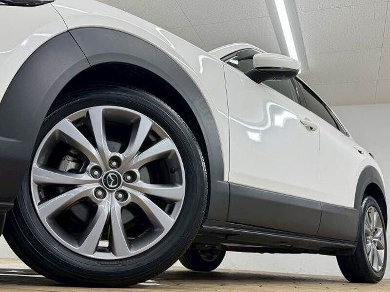 CX-30