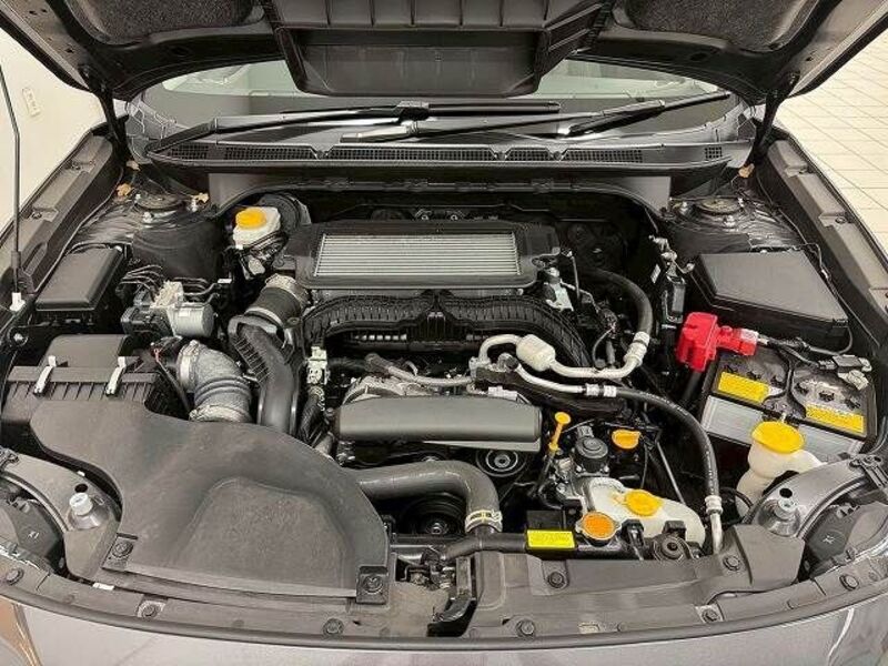 LEGACY OUTBACK