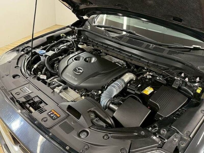 CX-8