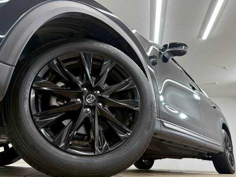 CX-8