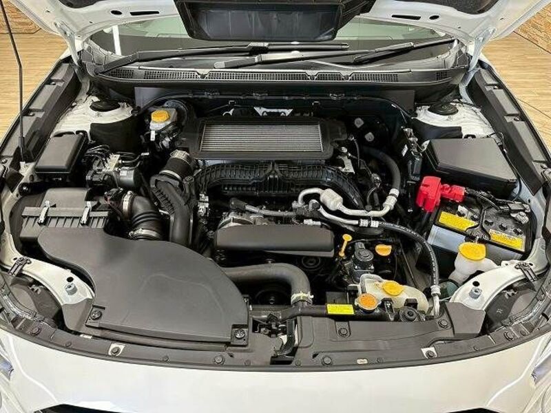LEGACY OUTBACK