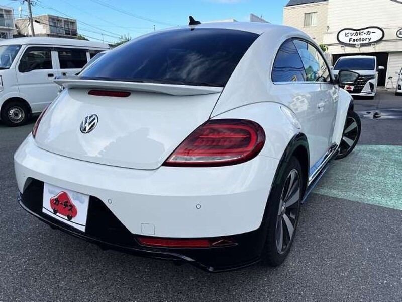 THE BEETLE