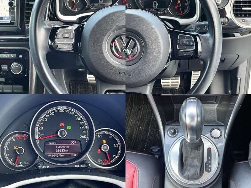 THE BEETLE