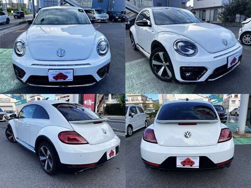 THE BEETLE