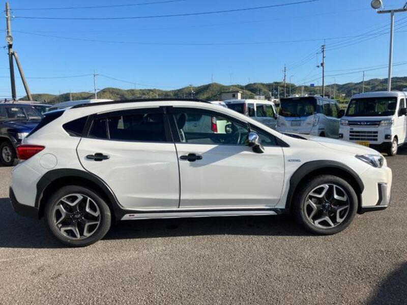 XV