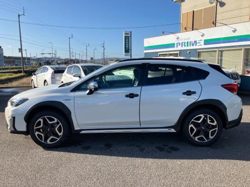 XV