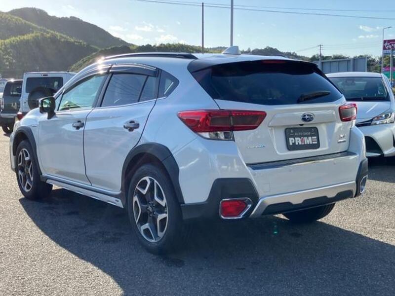 XV