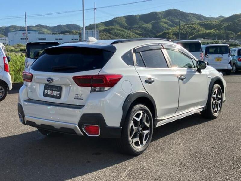 XV