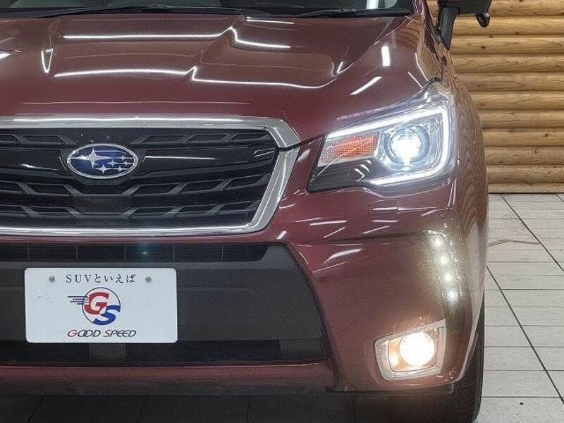FORESTER