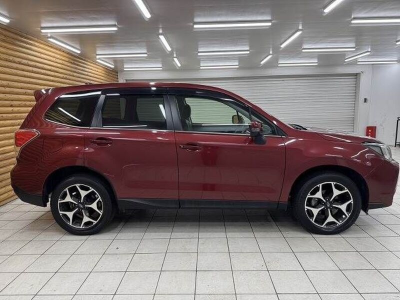 FORESTER