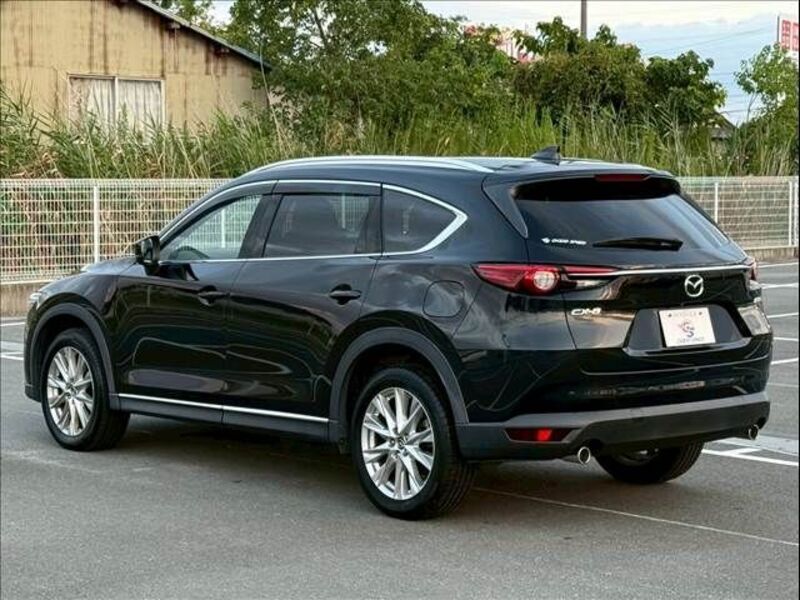 CX-8