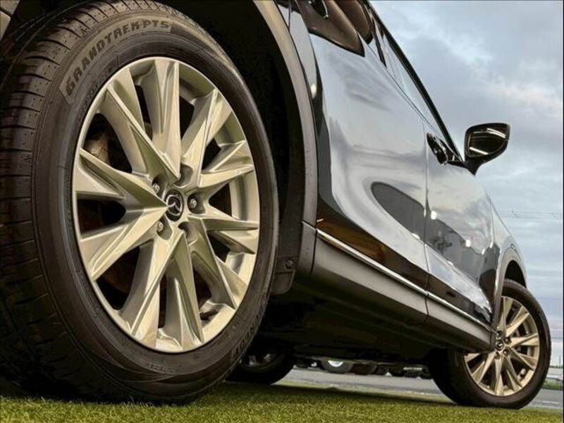 CX-8