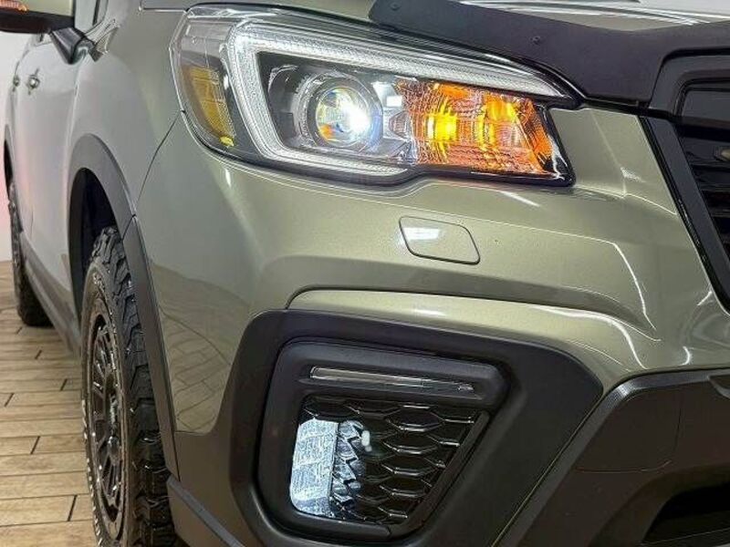 FORESTER