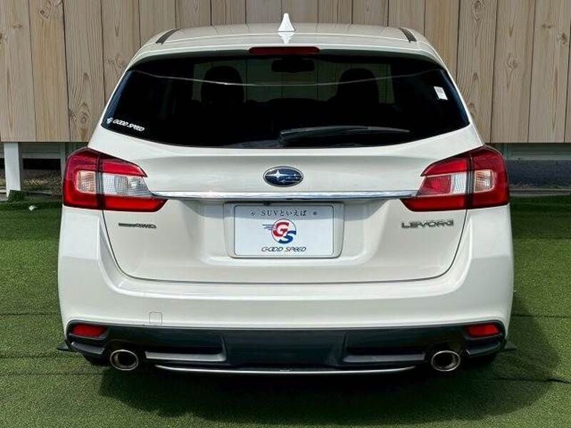 LEVORG