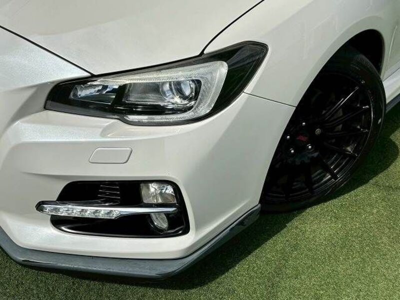 LEVORG