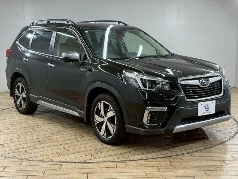 FORESTER