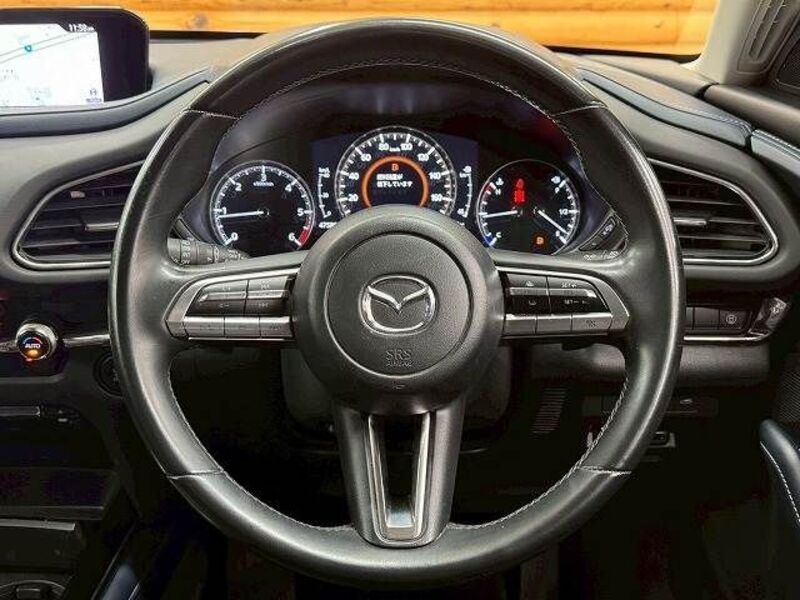CX-30
