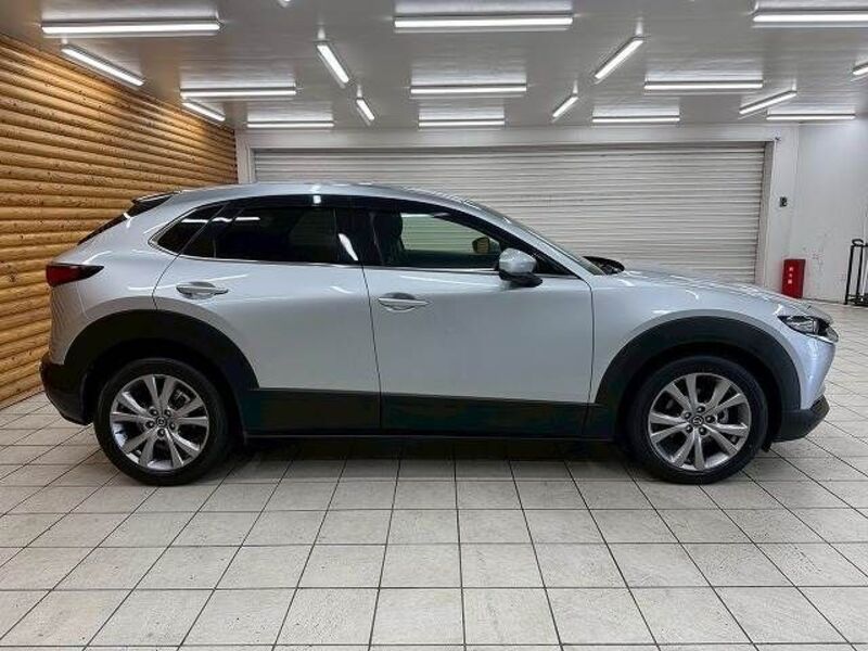 CX-30