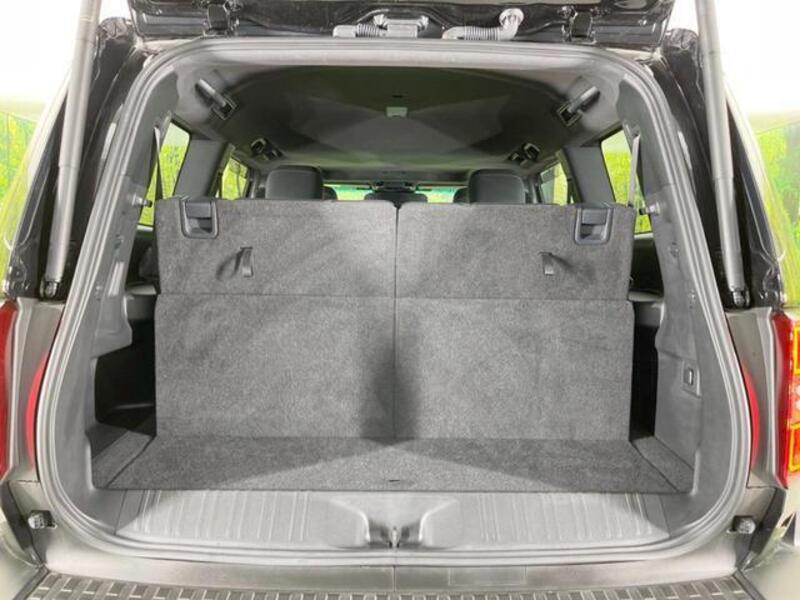 LAND CRUISER 250
